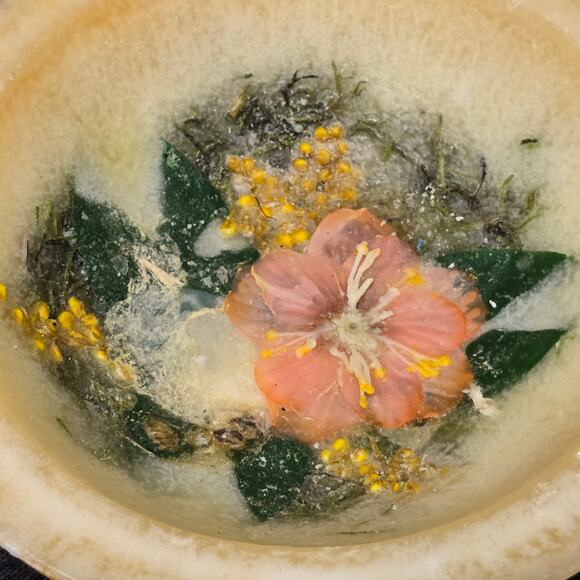 Habersham Candle Co Wax Pottery Vessel Scented Flameless Home Fragrance Decor - Picture 2 of 14